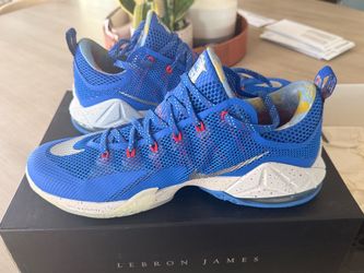 Lebron XII Low LMTD sneakers (sz 12)