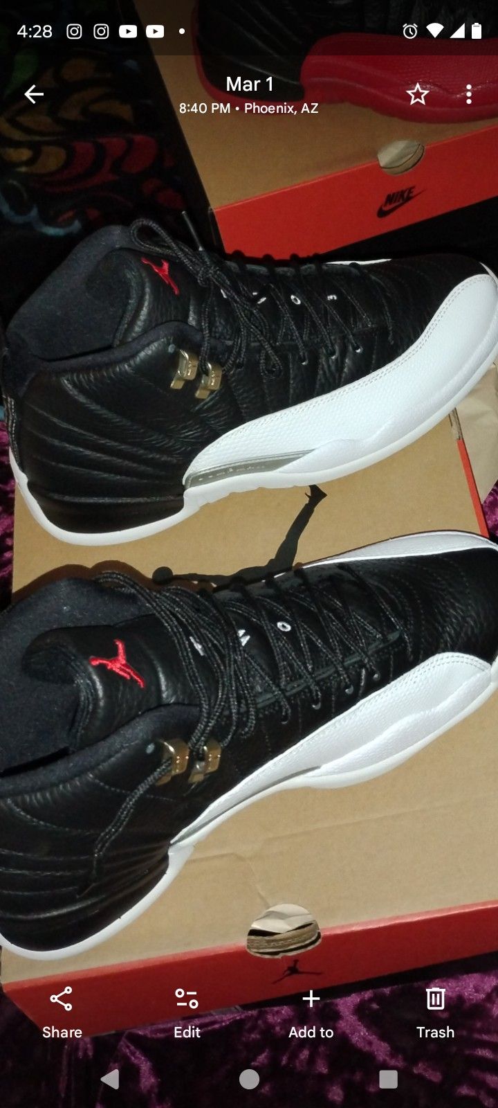 Jordan 12 Playoffs