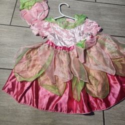 Girl Fairy 12 M toddler