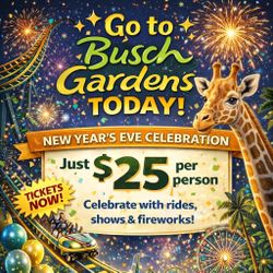 🎄✨ BUSCH GARDENS TAMPA BAY HOLIDAY SPECIAL ✨🎄 