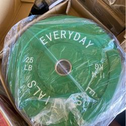 New Pair Of 25 Pound Bumper Weights