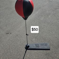 Punching Bag