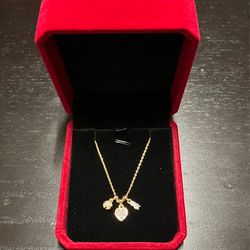 Brand new heart necklace with red velvet gift box