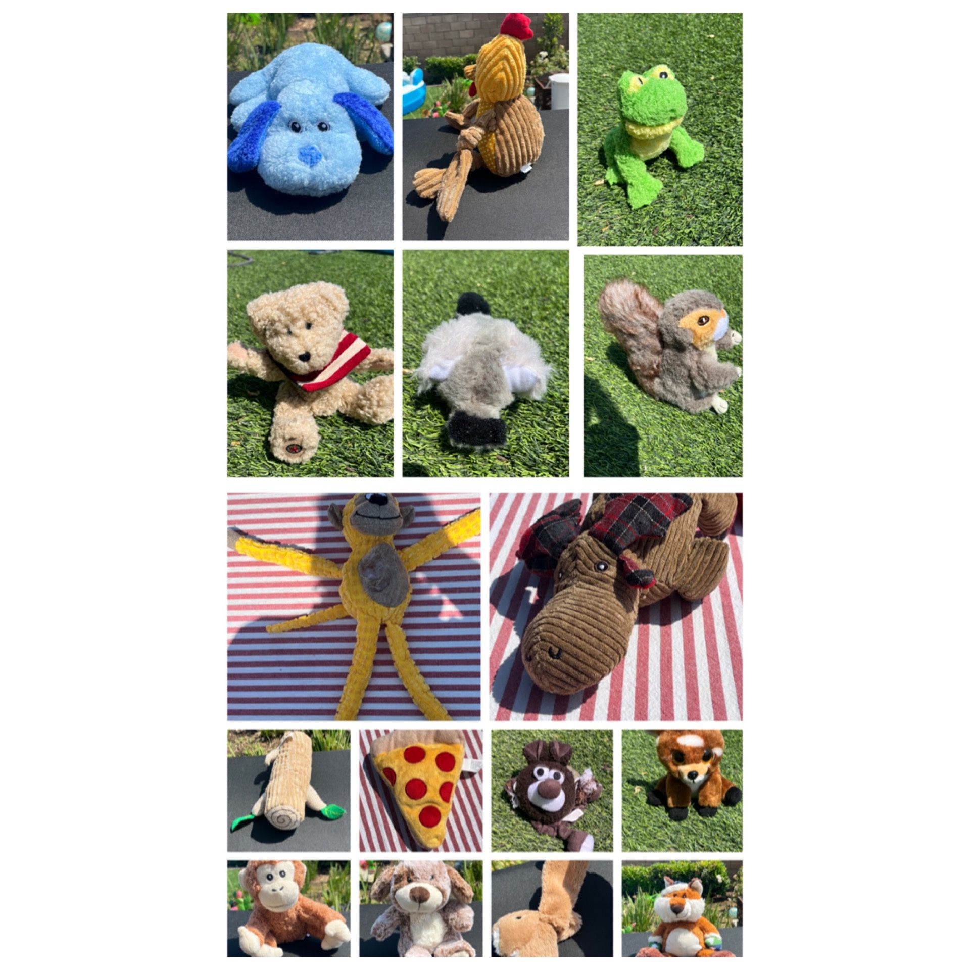 Dog Toys