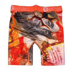 Ethika Boxer Briefs Money Print