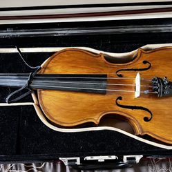 A Professional 4/4 Violin 