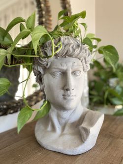 David Cement Plant Pot 