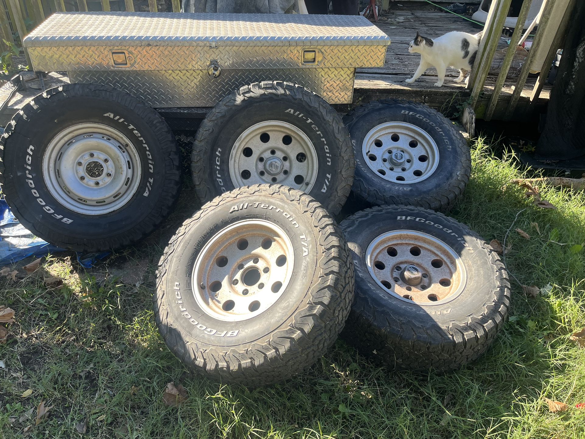 American Racing Rims 16”