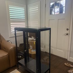 IKEA FABRIKÖR Glass-door cabinet, Display Case