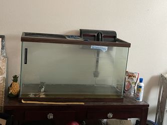 Fish Tank 55gallon