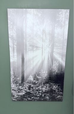 Huge Canvas Style Photo