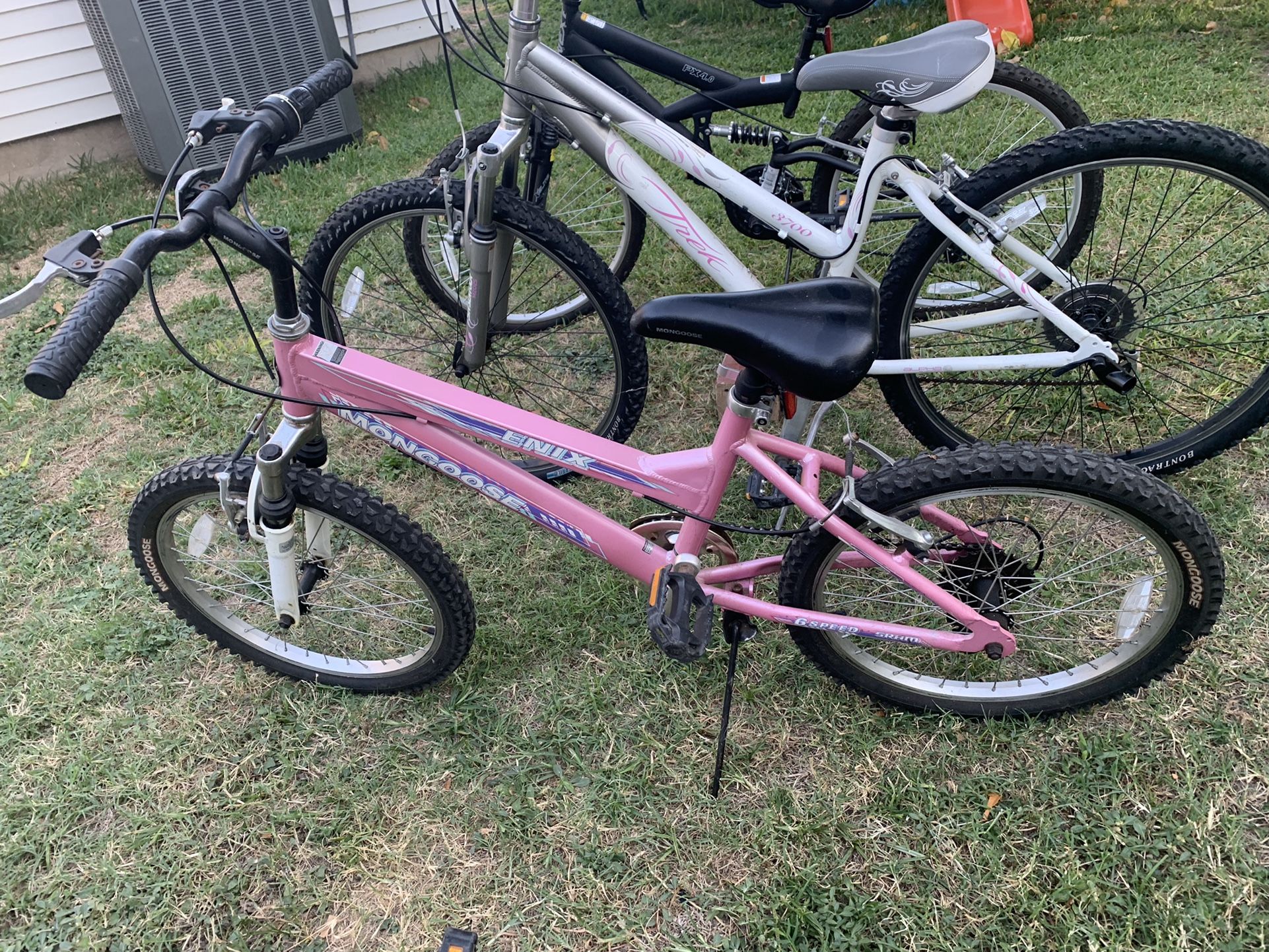 Mongoose 2024 enix pink