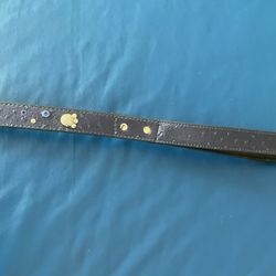 Beautiful Dog Leash