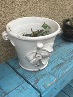 Plant Pot With Fern 