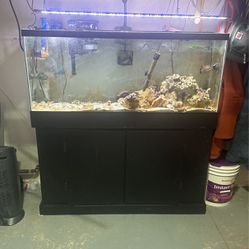 55 Gallon Fish Tank Saltwater/Freshwater