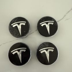 Tesla wheel center caps