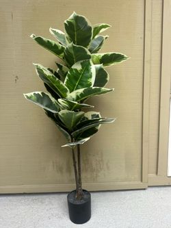 Fake Plant