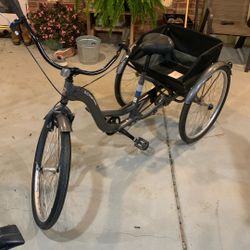 Schwinn Grey Tricycle Meridian Comfort