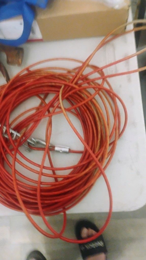 Dog Cable.