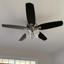 Ceiling Fan