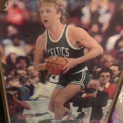 Larry Bird Picture 