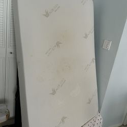 Aloe Vera Skin Care Twin Mattress 