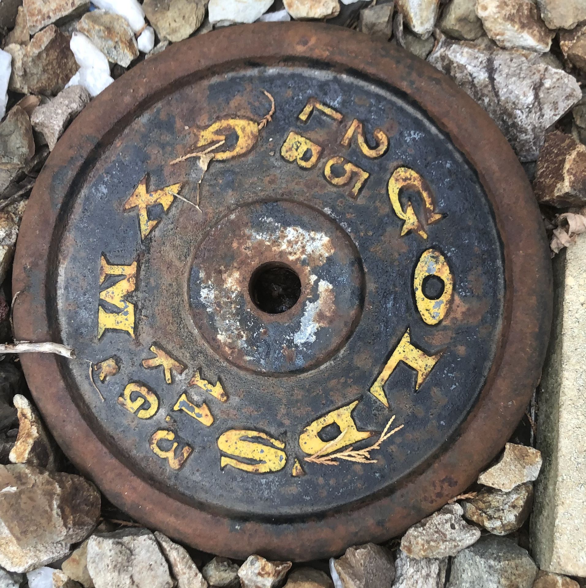 25 Lb Vintage Gold’s Gym Cast Iron Weight