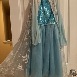 Frozen And Princess Dresses 