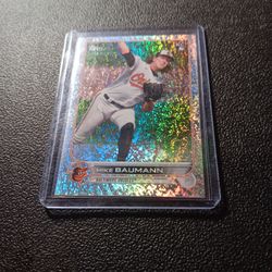 2023 Silver Rainbow Speckle 