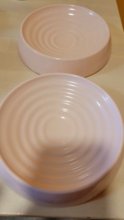 Cat Guru 2 Melamine Plates