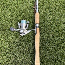 Shimano Rod and Real Set