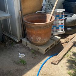 Pot
