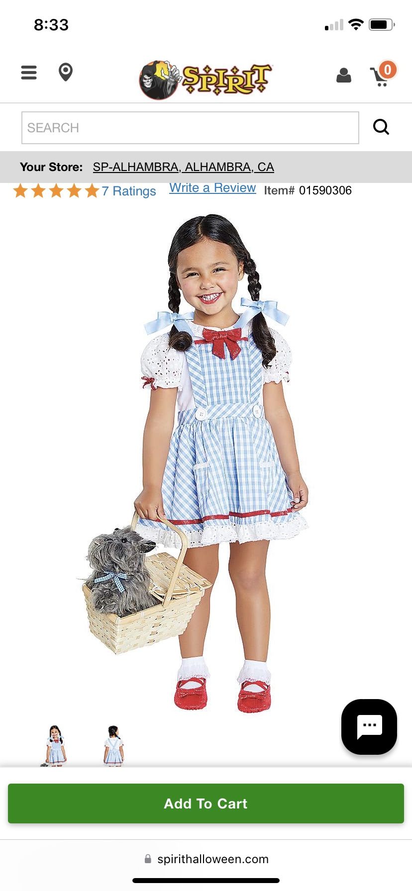 Dorthy Costume 