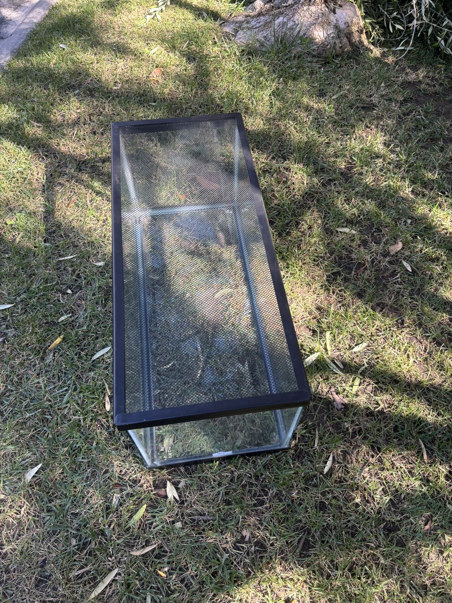 Reptile Tank With A Metal Net Cover
