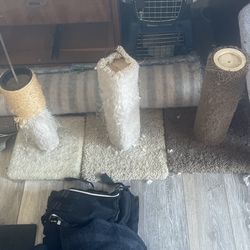 Cat Scratching post 