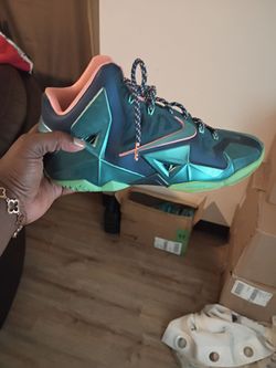 Kd labrons
