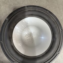 Wet Sounds Xs-12 Subwoofer 