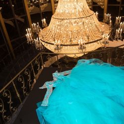 Mori Lee Dress