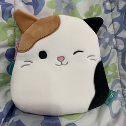 Cam the Cat Squishmallow Pouch