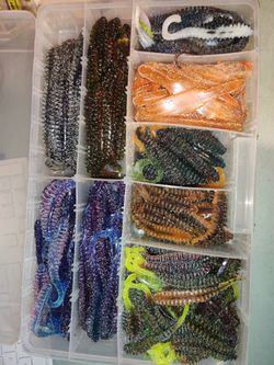 Tons Of Fishing Worms In Tray 