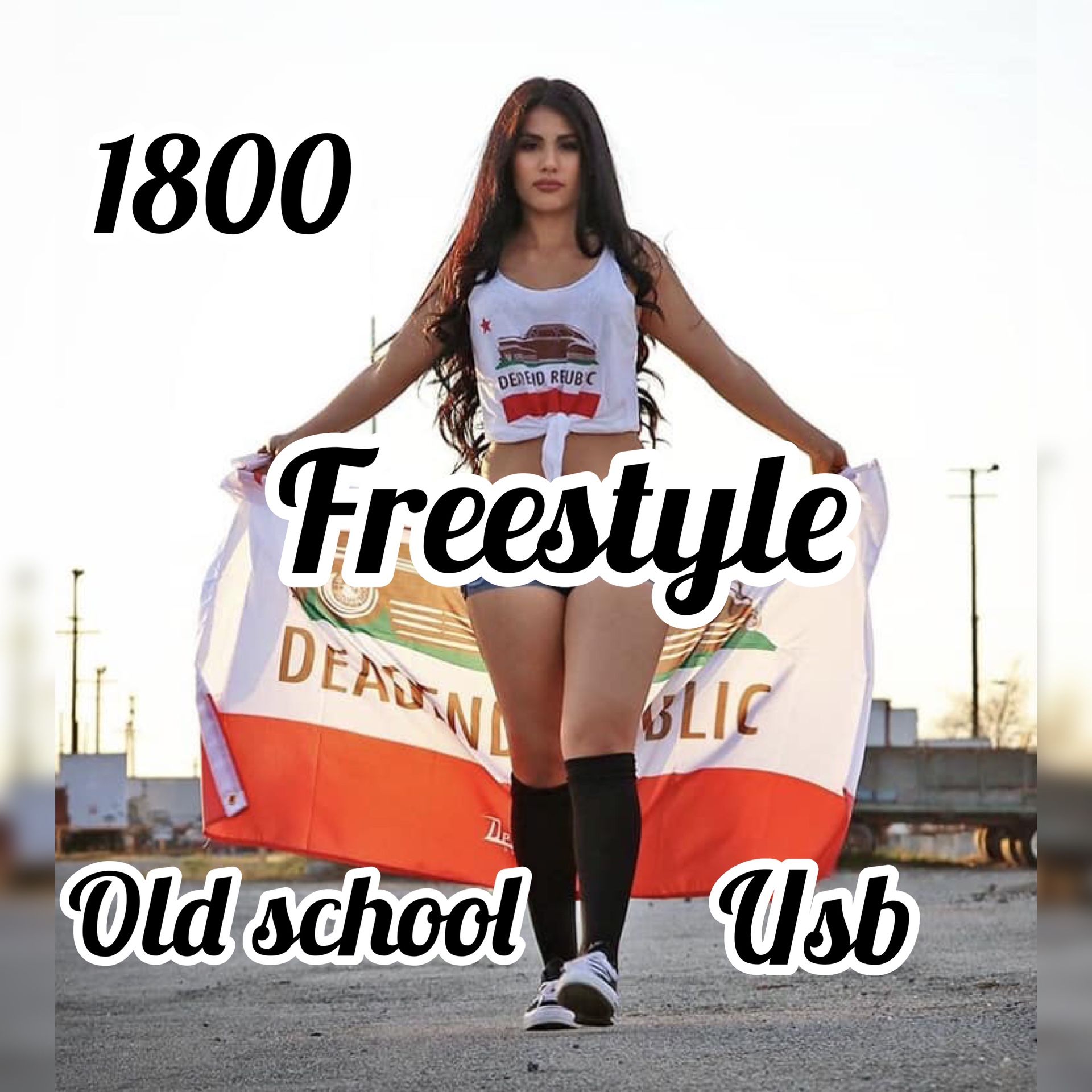 80s 90s freestyle music usb