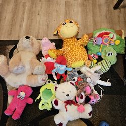 Bag Full Of Stuff Animals 