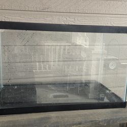 Small Fish Tank