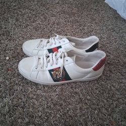 Gucci Ace Shoes 