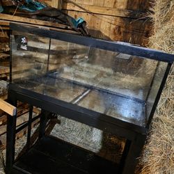 Aquarium Masters 40 Gallon Breeder 