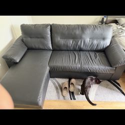 Couch For Free