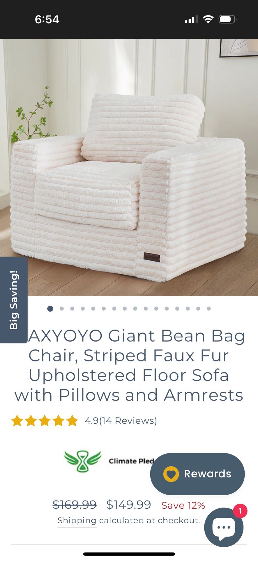 Giant Bean Bag Chair (Free Local Delivery)