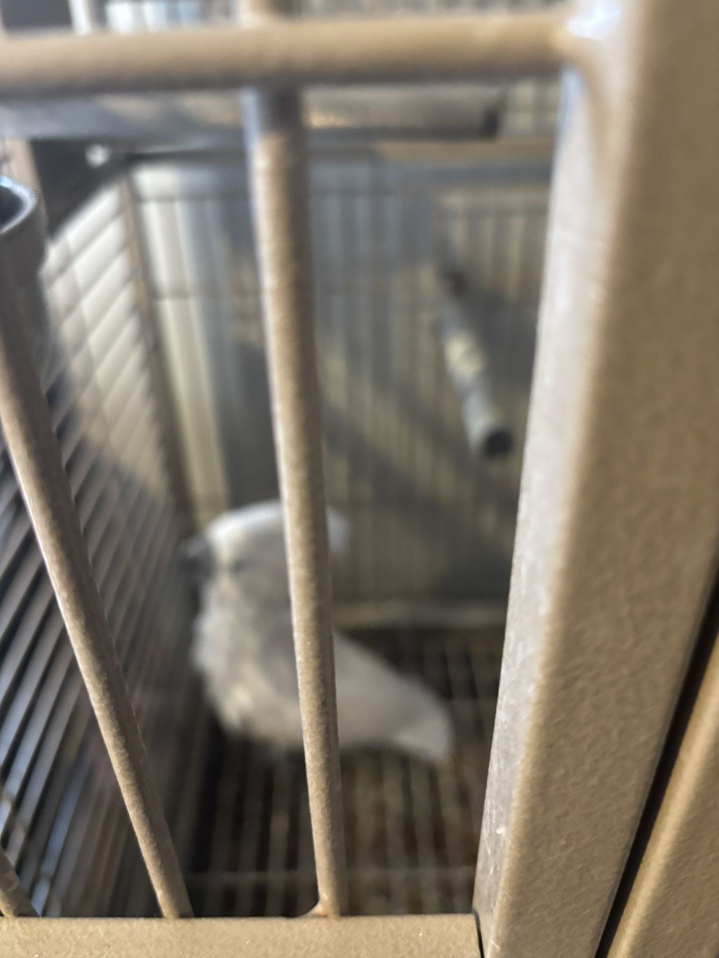 Extra Large Bird Cage