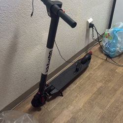 Gotrax Adult Scooter