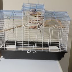 Gage Birds 